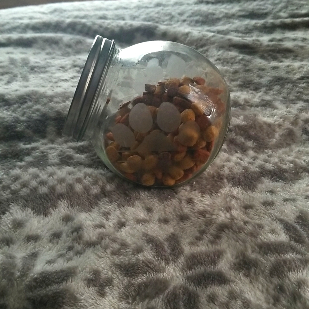 Dog Treat holder